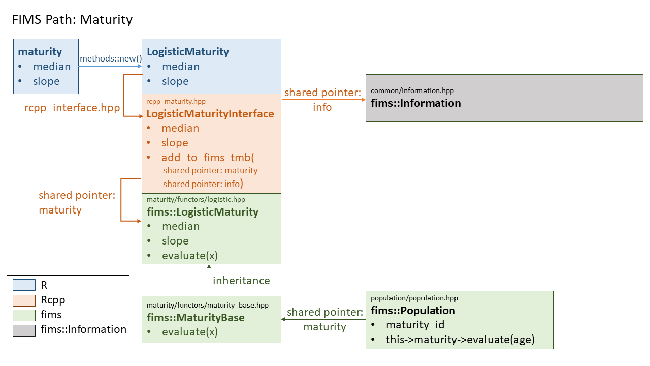 Maturity module inheritance and linkage between fims::LogisticMaturity, fims::MaturityBase, and fims::Population.