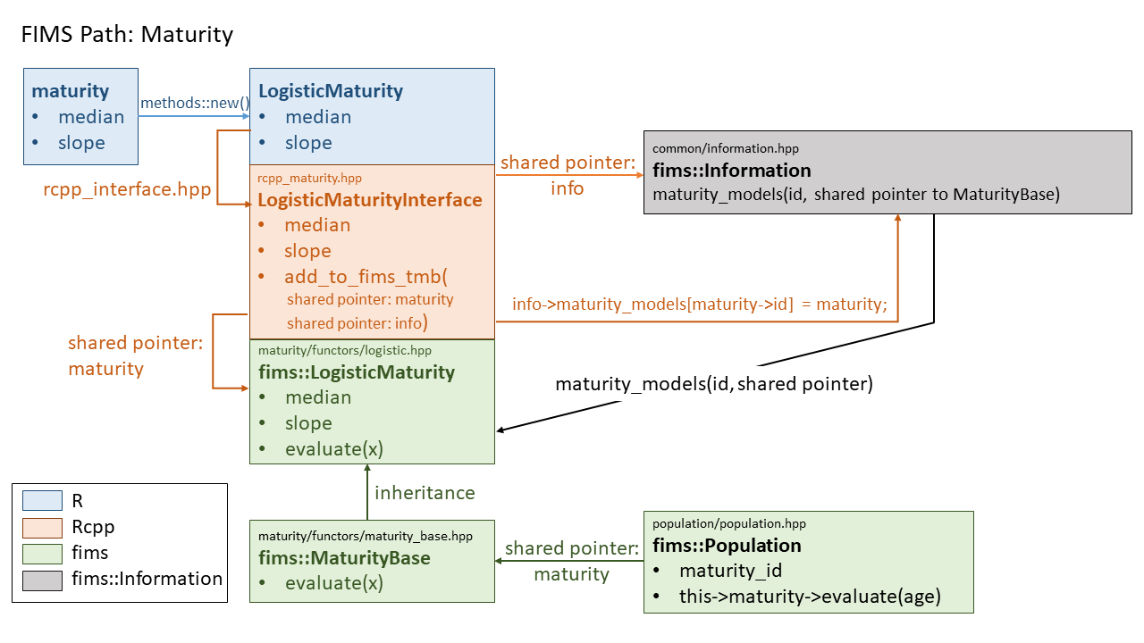Maturity and population objects in fims::Information using IDs and shared pointers, with retrieval by fims::Population for evaluation.