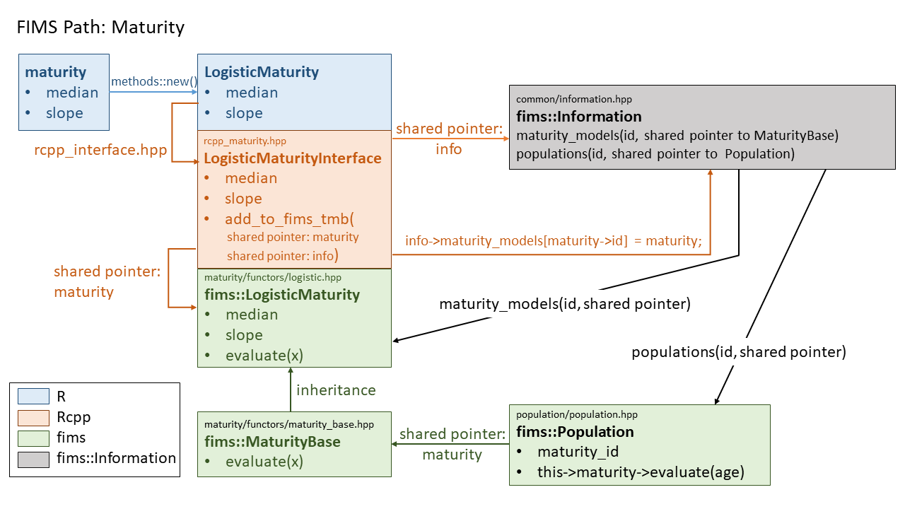 Registration of maturity and population objects in fims::Information using ID to shared pointer mappings, enabling linkage to the selected maturity model.