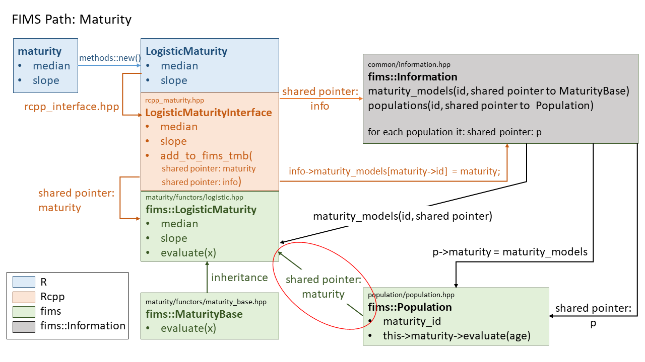 Diagram showing the full path from R to C++ for the maturity module.